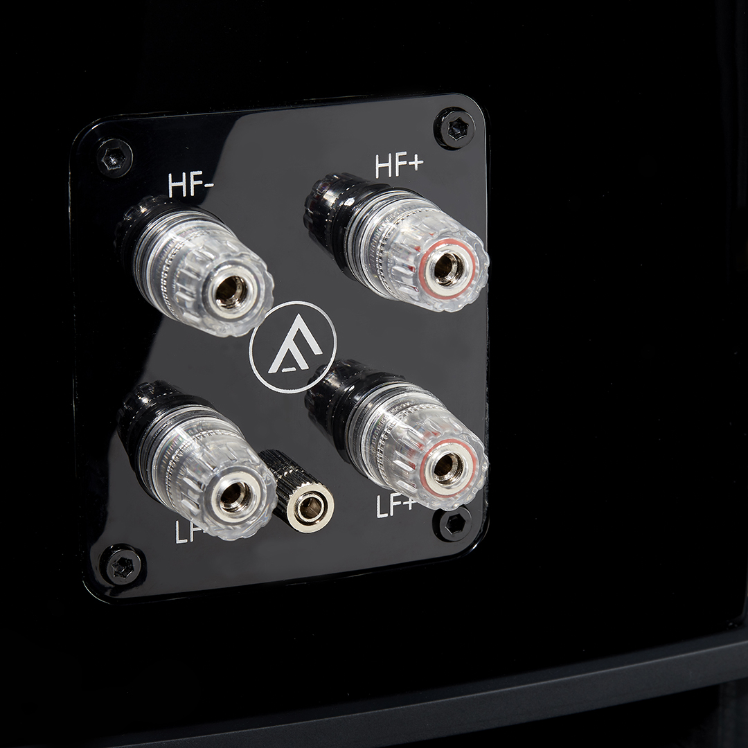 Fyne Audio F501SP
