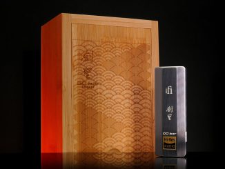 iFi Audio GO bar Kensei